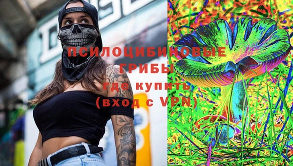 хмурый Горно-Алтайск