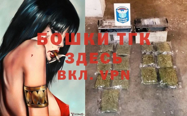 хмурый Горно-Алтайск